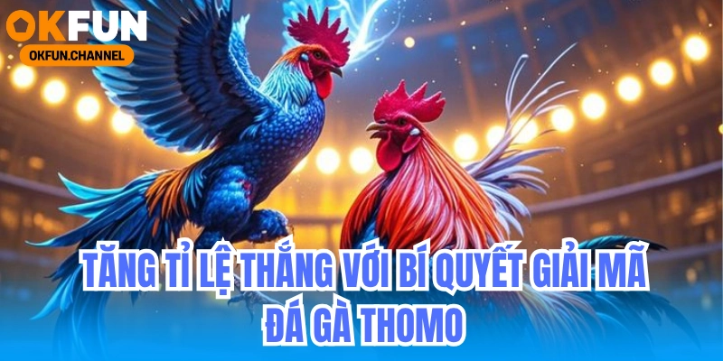Tăng tỉ lệ thắng với bí quyết giải mã kèo đá gà Thomo